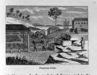 Indigo vorbereiten, aus Santo Domingo Vergangenheit und Gegenwart von Samuel Hazard, veröffentlicht 1873